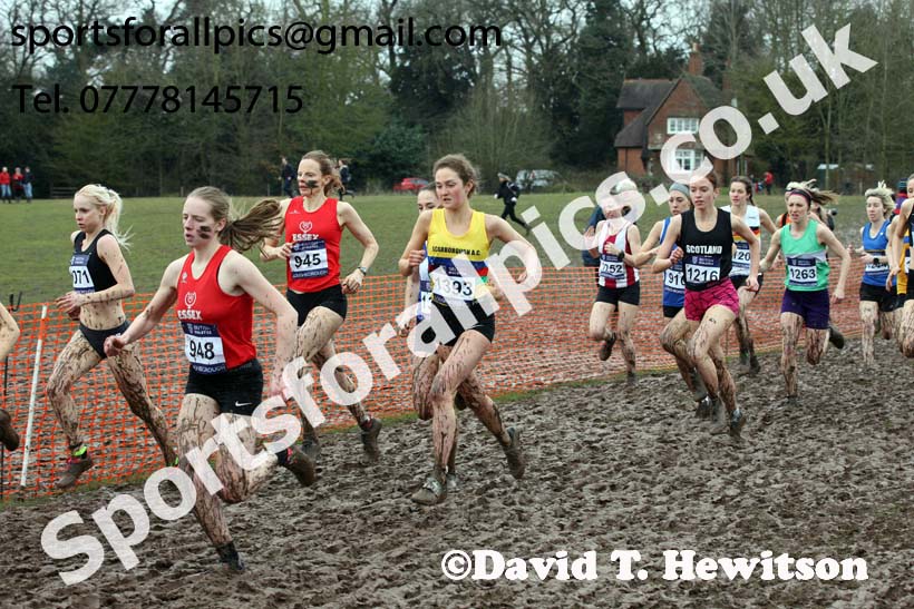 Senior womens 2018 British Inter Counties Cross Country Champs., Prestwold Hall, Loughborough. Photo: David T. Hewitson/Sports for All Pics
